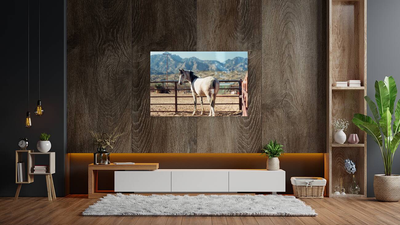 Horse and Mountains Reproduction