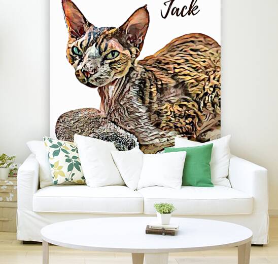 Meet Jack Reproduction