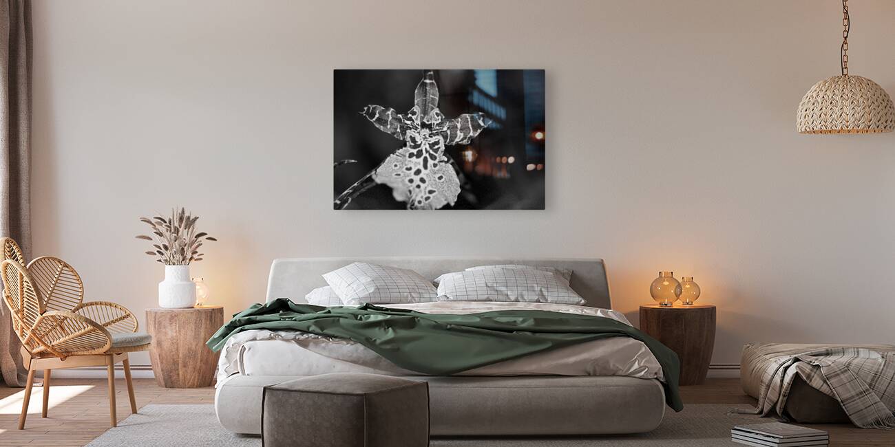 Spotted Orchid Reproduction