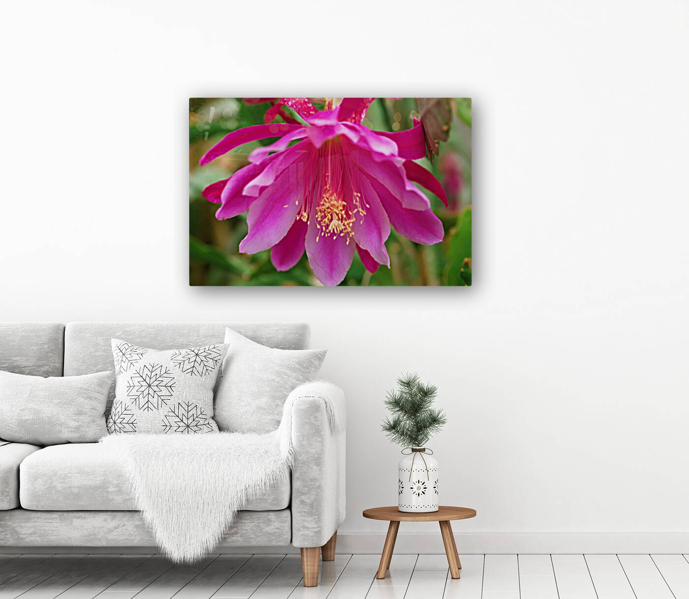 Fuschia Peony Flowering Reproduction