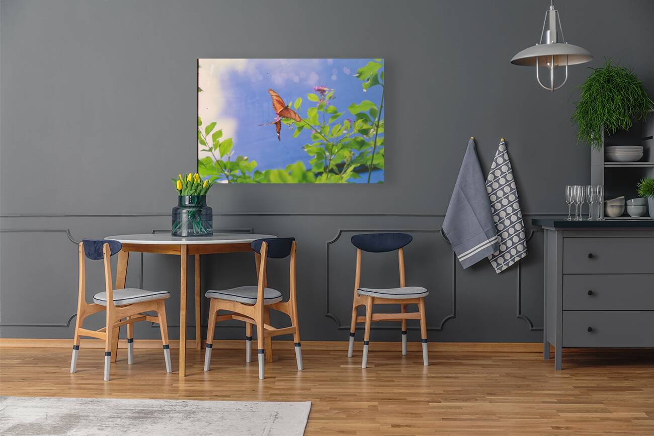 Orange butterflies playing Reproduction