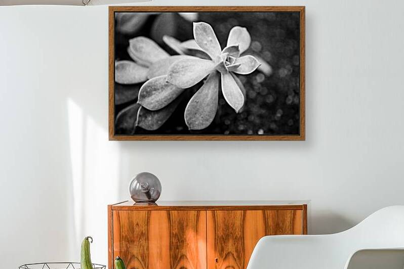 Black  White Floral Series1 by Bonnies Wall Art