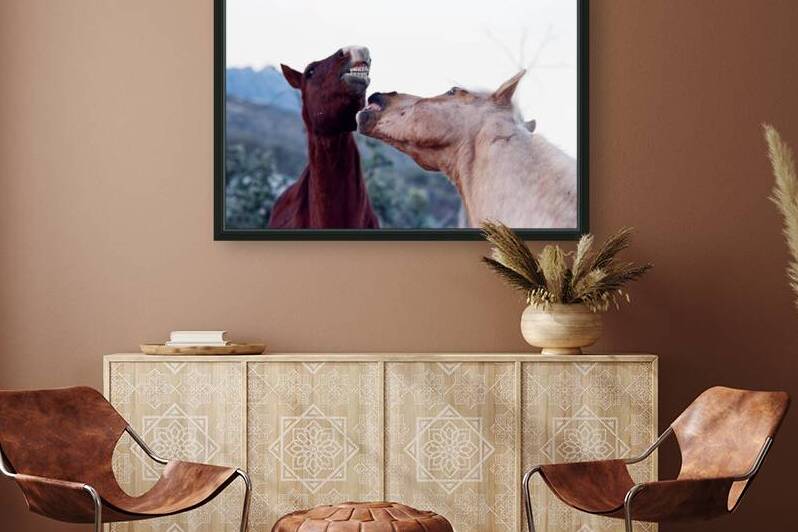Horse Sparring 2 by Bonnies Wall Art
