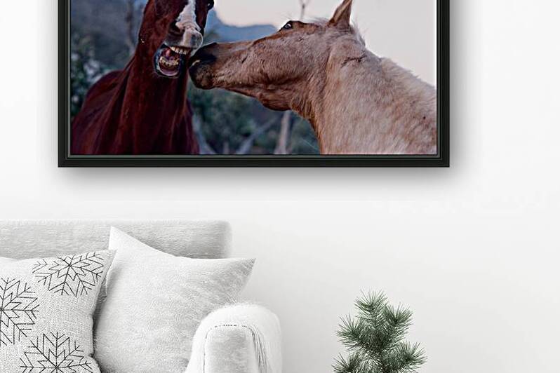 Horses Sparring by Bonnies Wall Art