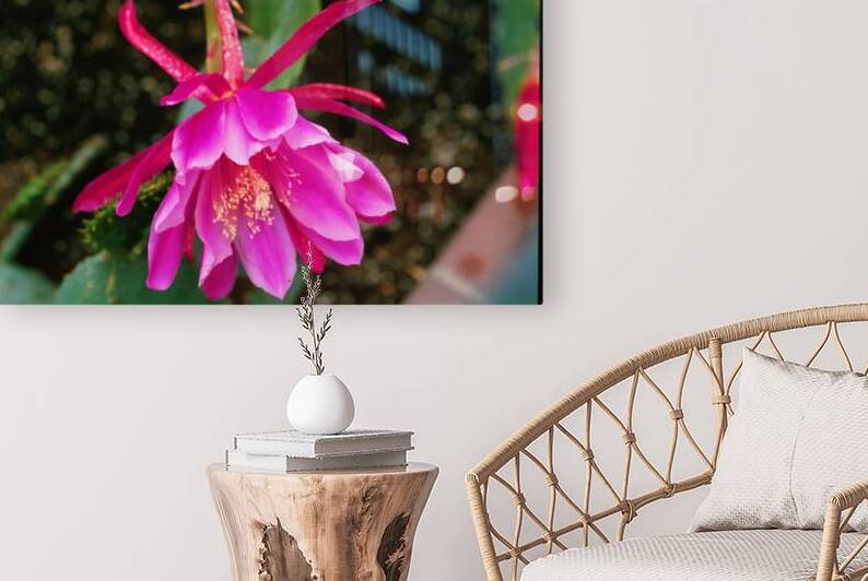 Fuschia Peony Burst by Bonnies Wall Art