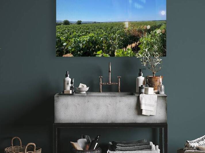 Tuscany Vineyards Cabernet Franc by Bonnies Wall Art