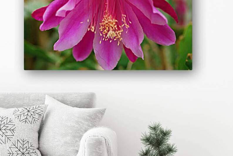 Fuschia Peony Flowering by Bonnies Wall Art