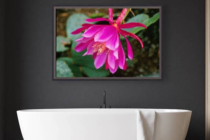 Fuschia Peony Side View by Bonnies Wall Art