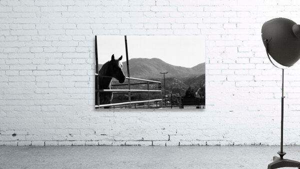 Horse amidst the mountains Wall Preview