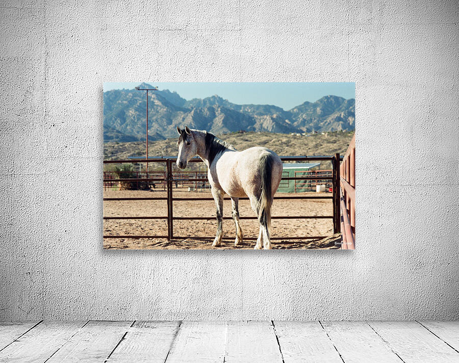 Horse and Mountains Wall Preview