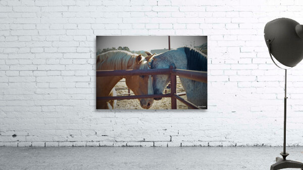 Horse Embrace  Wall Preview