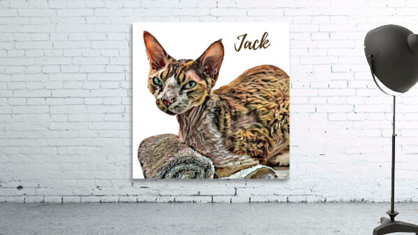 Meet Jack Wall Preview