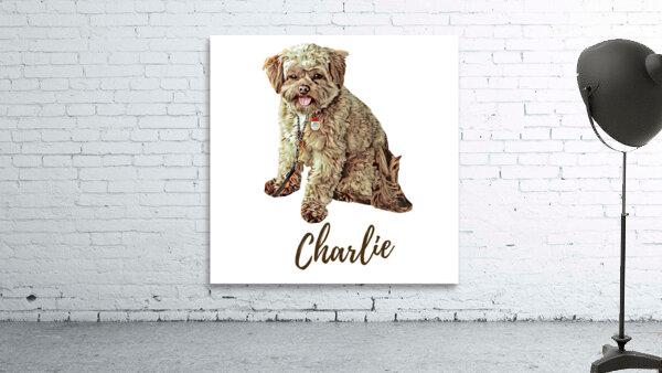 Charlie the Morkie Wall Preview
