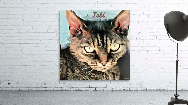 Tobi Love Wall Preview