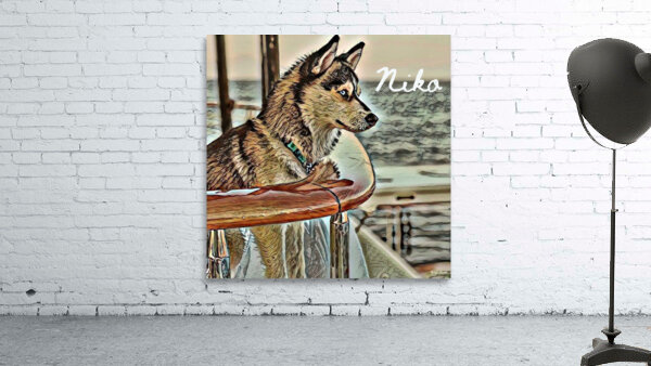 Niko Pomsky Wall Preview