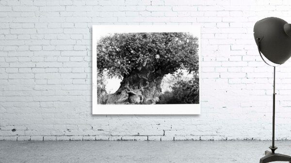 Tree Art Wall Preview