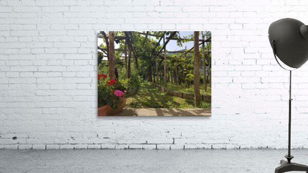 Amalfi vineyards Wall Preview