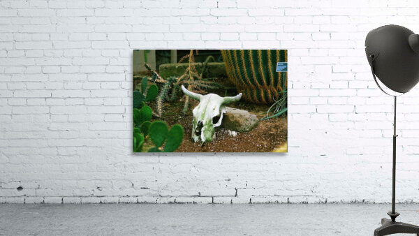 If Skeltons Could Talk Wall Preview