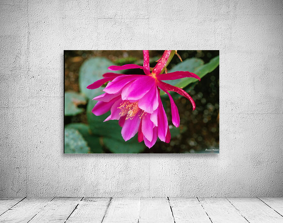 Fuschia Peony Side View Wall Preview