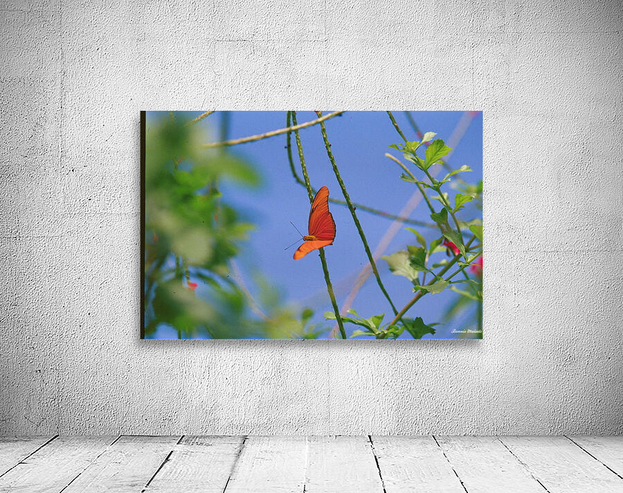 Orange Butterfly Having A Rest Wall Preview