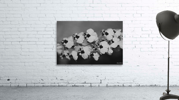 Black and White Floral Series 2 Wall Preview