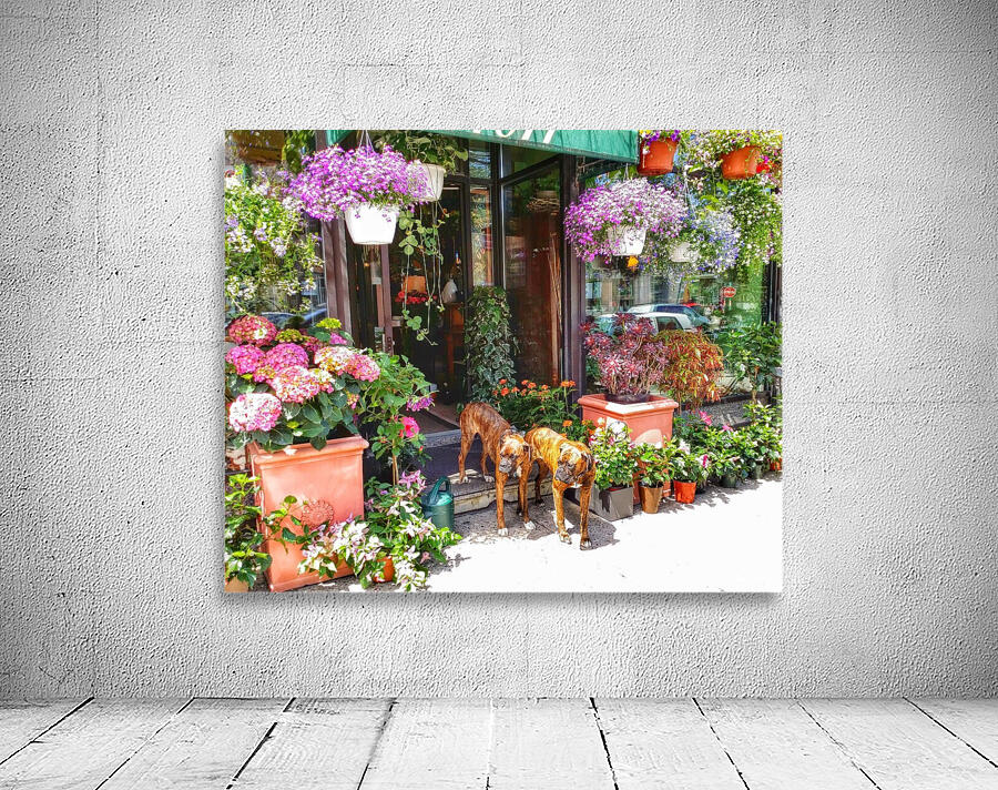 2 Dogs in the Flower Shop Wall Preview