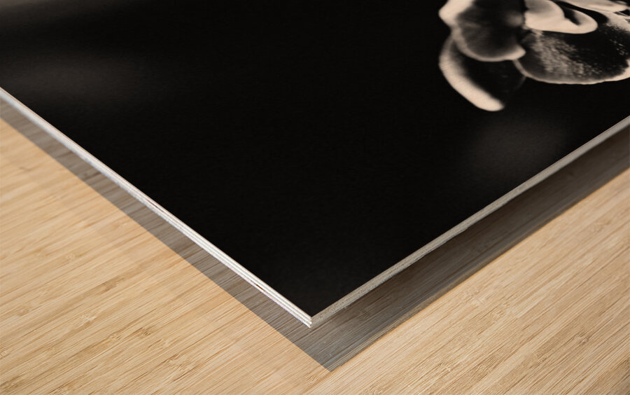 Black  White Floral Series 12 Wood print