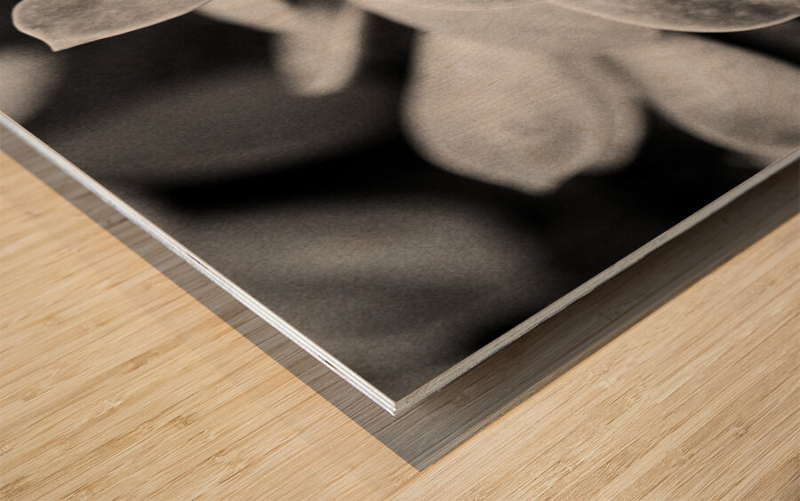 Black  White Floral Series1 Wood print
