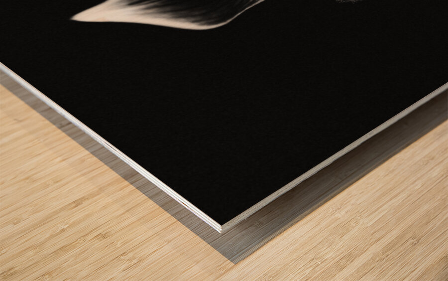 Black  White Floral Series 9 Wood print