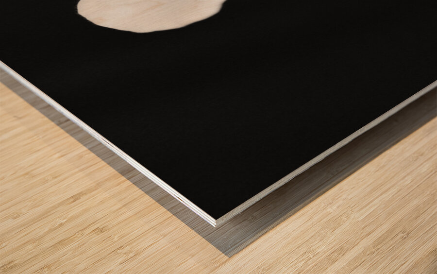 Black  White Floral Series 10 Wood print