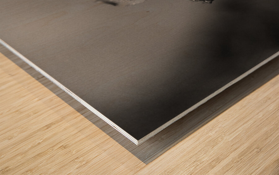 Black  White Floral Series 7 Impression sur bois