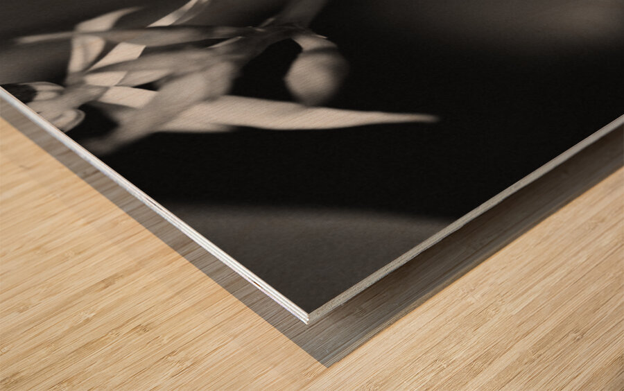 Black  White Floral Series 11 Wood print