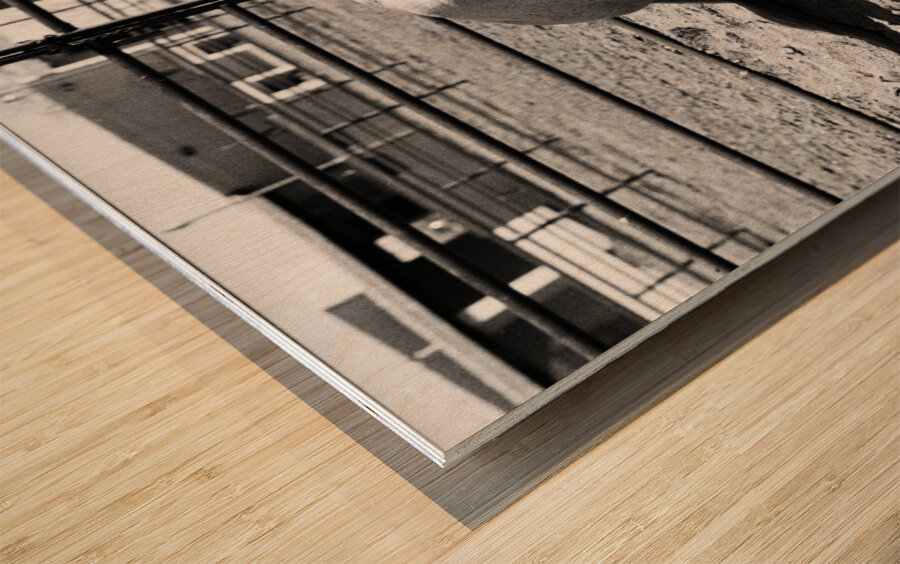 Magnificent Horse Pose 3 Impression sur bois