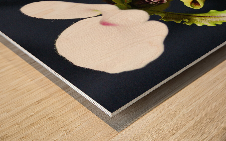 Green Orchid Wood print