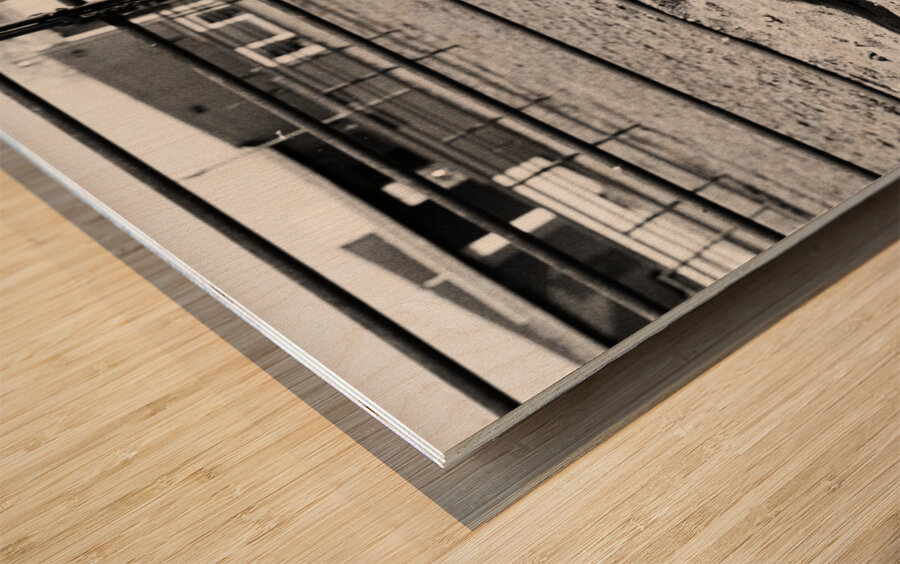 Magnificent Horse Pose 2 Wood print