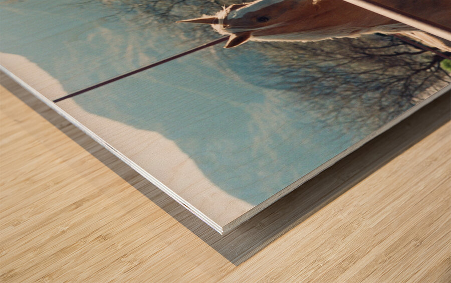 Horses connecting Wood print