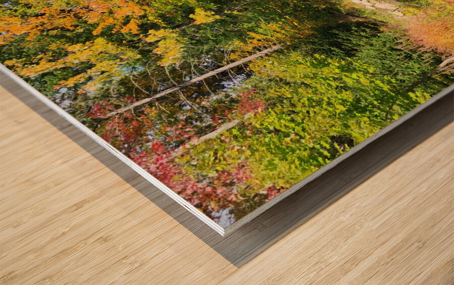 Green Oasis Wood print