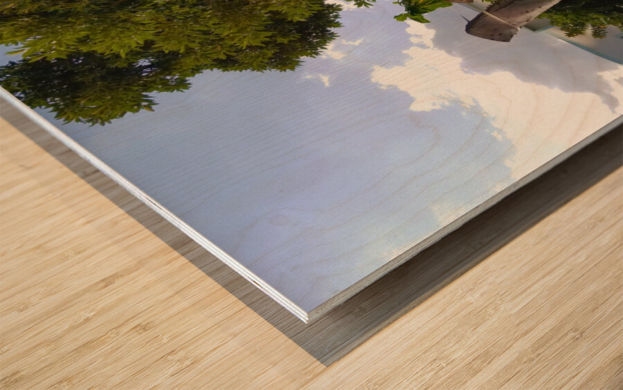 The Survivor Wood print