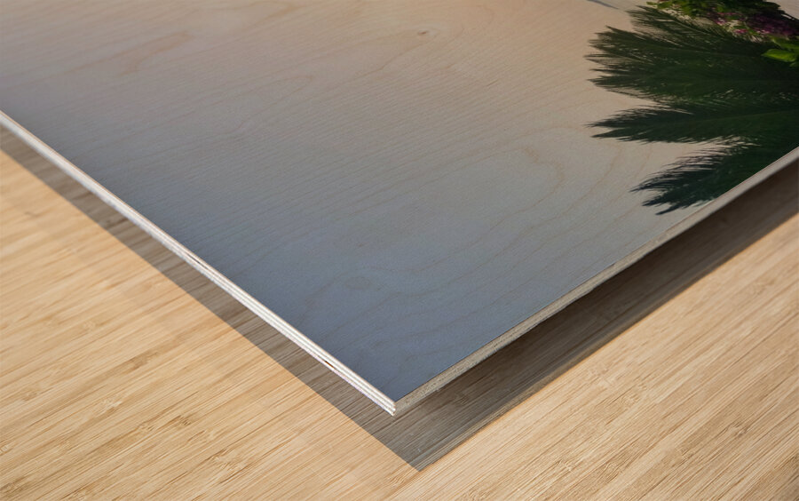 Views from the top of Il San Pietro di Positano Wood print