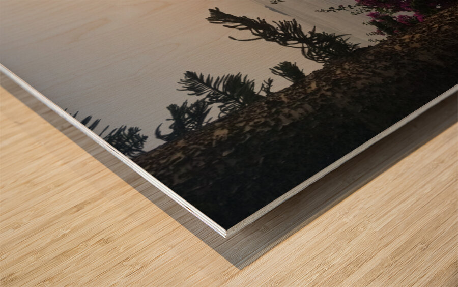 Softscape from Il San Pietro di Positano Wood print