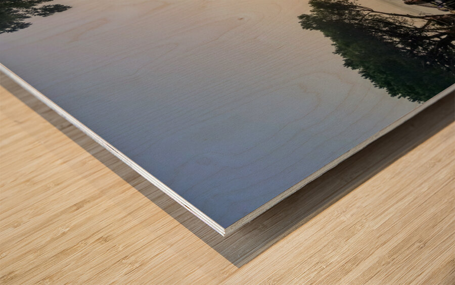 Atop Il San Pietro di Positano Wood print