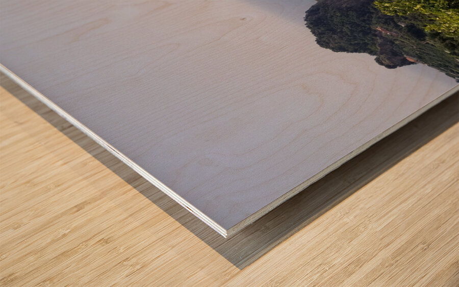 Amalfi views - 5 Wood print