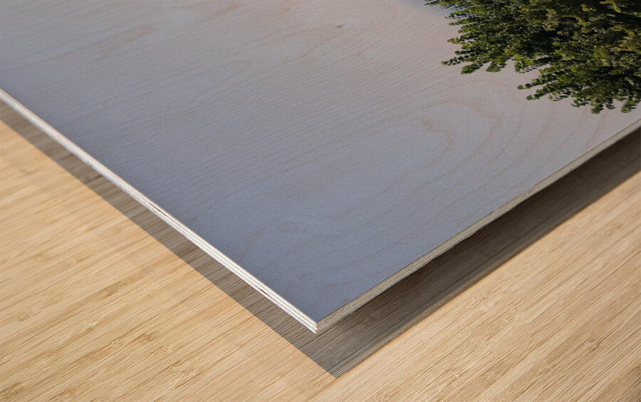 Life atop Positano Wood print