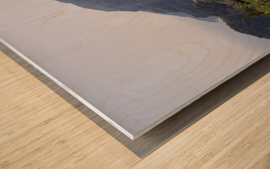 Amalfi views - 4 Wood print