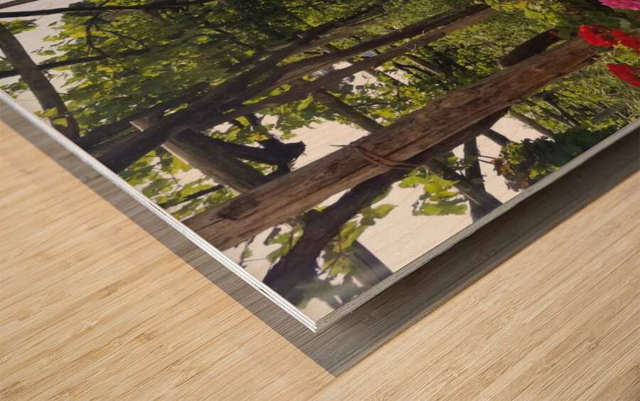 Amalfi vineyards Wood print