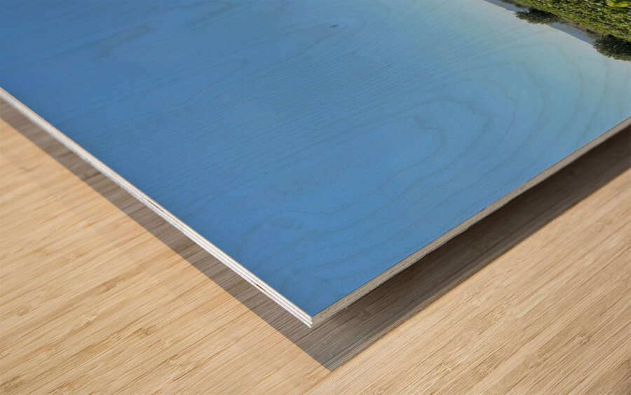 Tuscany Vineyards Cabernet Franc Wood print