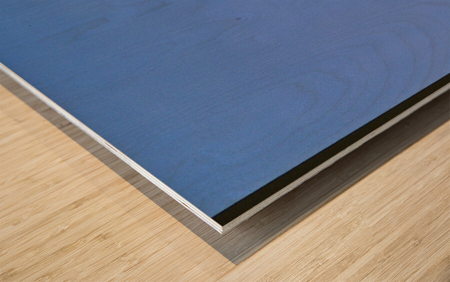 Black butterfly flower love Wood print