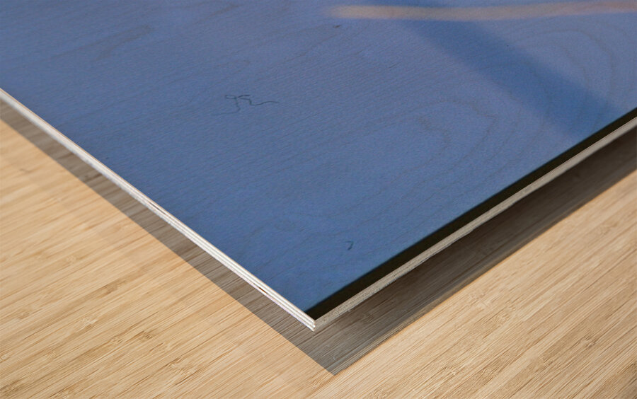 Black butterfly flower love Wood print