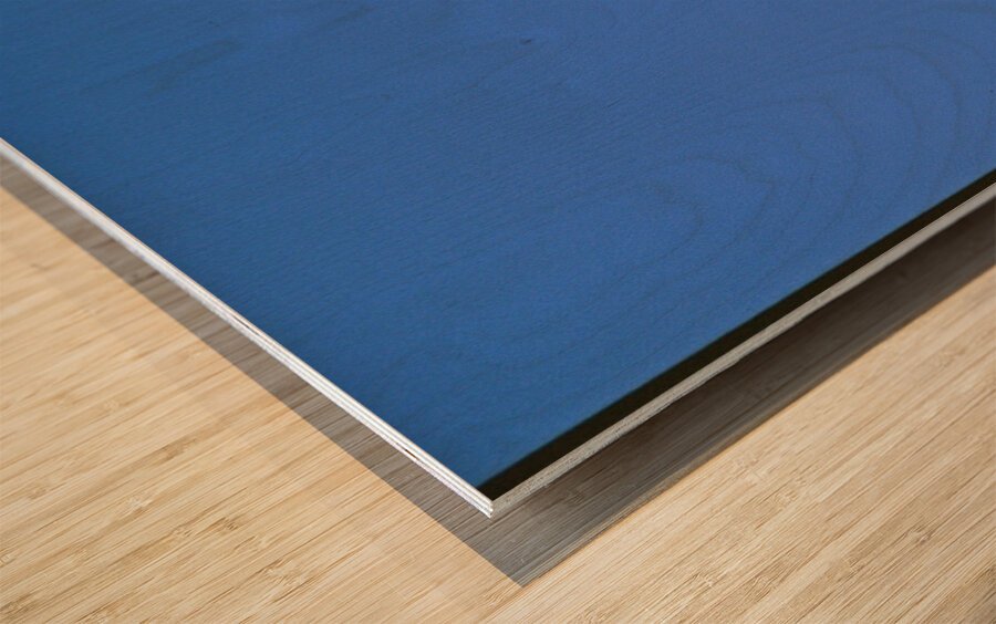 Butterflies at play Wood print