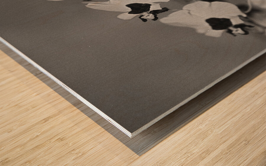 Black and White Floral Series 2 Wood print